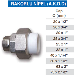 ARILI - ARILI -20-1/2