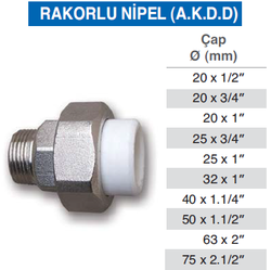 ARILI - ARILI -25-1